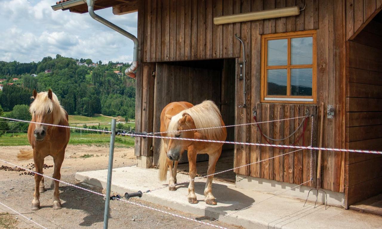 Ferienwohnung Dichtl Grafenau  Exteriör bild